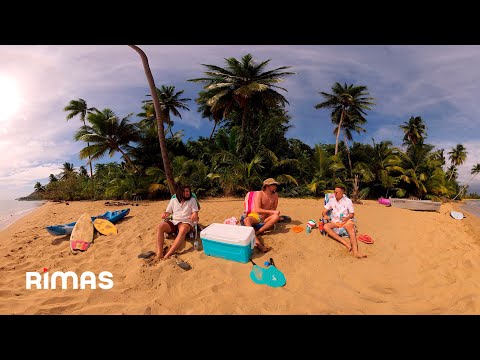 Bad Bunny – Después de la Playa (360° Visualizer) | Un Verano Sin Ti