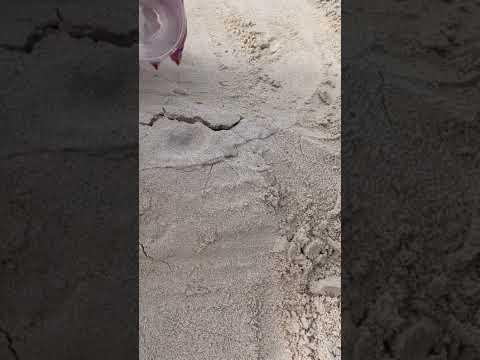 ENCONTRÉ ESTO EN LA PLAYA 😨 #short