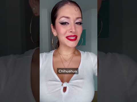 Imitando diferentes acentos mexicanos! Comenta tu bandera y la hora en que viste video ❤️