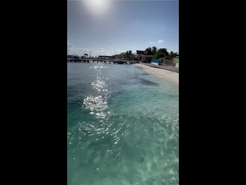 ISLA MUJERES #fyp #cancun #playa #viaje #parati #sargazo #adunadjtv